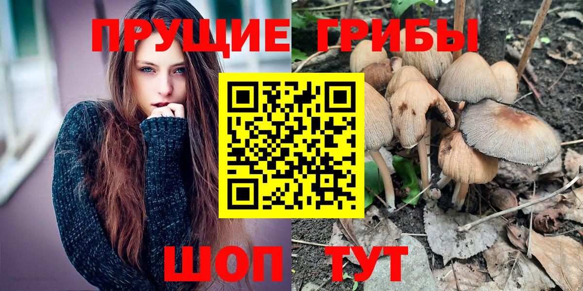 Удомля  Галлюциногенные грибы мухоморы  Псилоцибиновые грибы Cubensis  Вход с VPN 