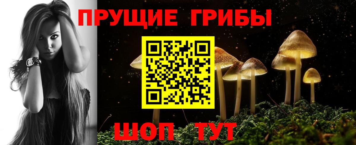 Псилоцибиновые грибы MAGIC MUSHROOMS Удомля